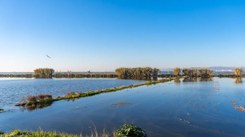 Senderismo por el Sureste: ruta a la Laguna del Campillo desde Rivas