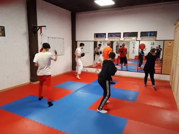 Mma boxeo & bjj Rivas - Vaciamadrid - Rivas-Vaciamadrid