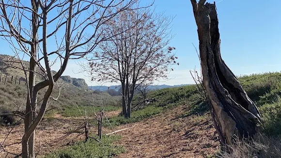 Camino de Uclés