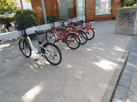 Bicinrivas