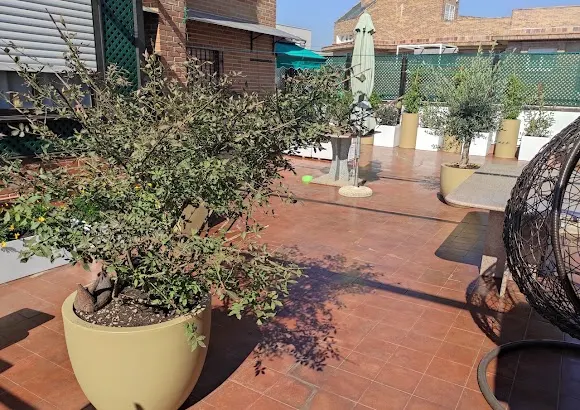 Alnus Paisajismo y Jardinería