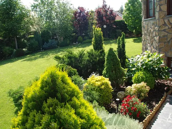 Piscijardin Decoración de Exteriores