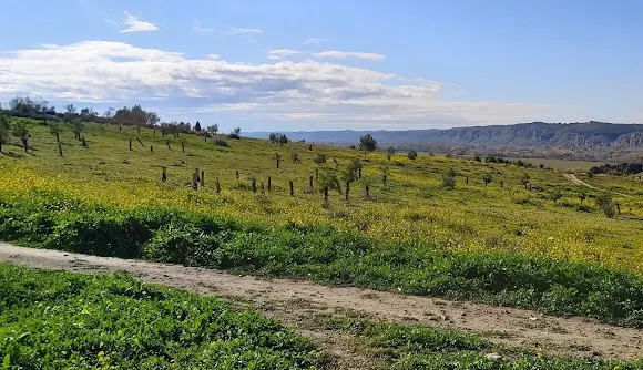 Parque Regional del Sureste - Rivas-Vaciamadrid