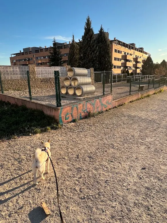 Suelta de perros