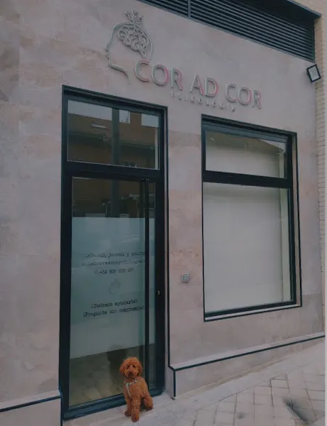 Cor Ad Cor Psicología - Servicio de salud mental en Rivas-Vaciamadrid - foto 2