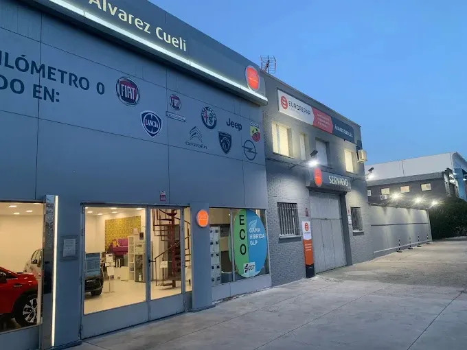 Álvarez Cueli - Taller de automóviles en Rivas-Vaciamadrid - foto 2