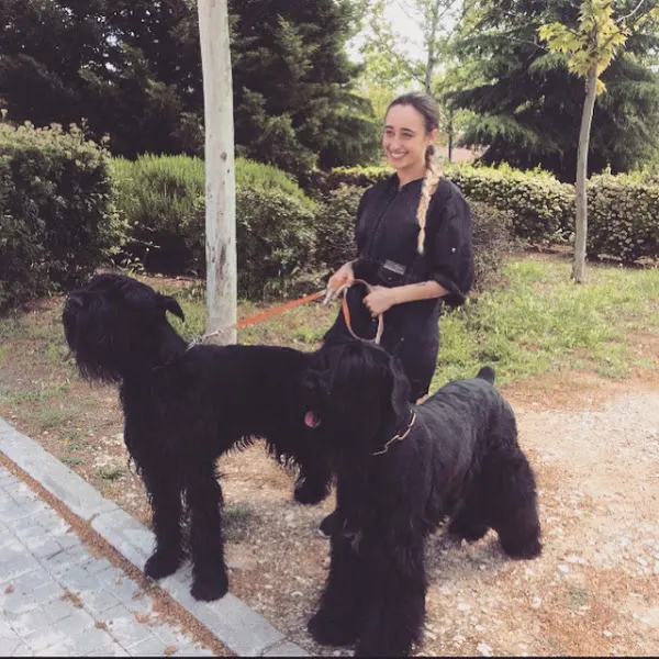 Peluquería canina María Núñez - Peluquero de mascotas en Rivas-Vaciamadrid - foto 2