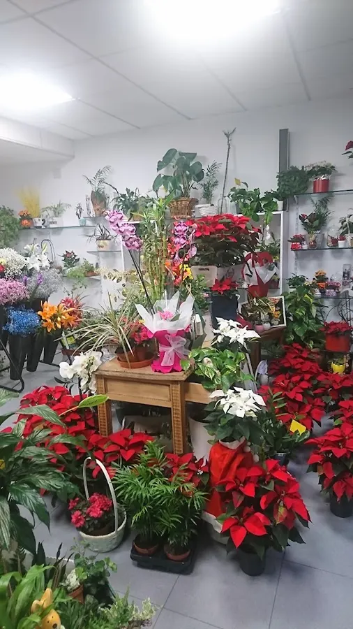 Floristería Flor Del Día