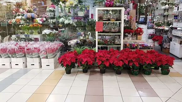 Floristería Jesan Rivas - Floristería en Rivas-Vaciamadrid
