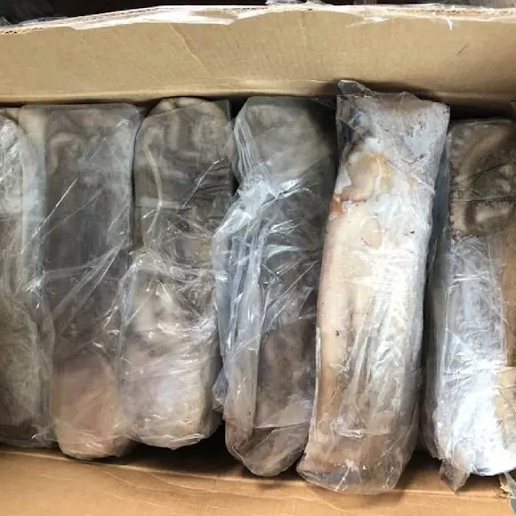 Djangou Export Import