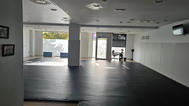 Lotus Rivas, Jiu-Jitsu Brasileño (Bjj) - Escuela de artes marciales en Rivas-Vaciamadrid - foto 2