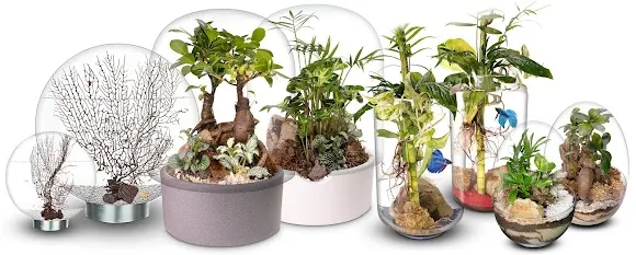 BIOGARDEN - Biomarket Planet s.l - Fábrica en Rivas-Vaciamadrid