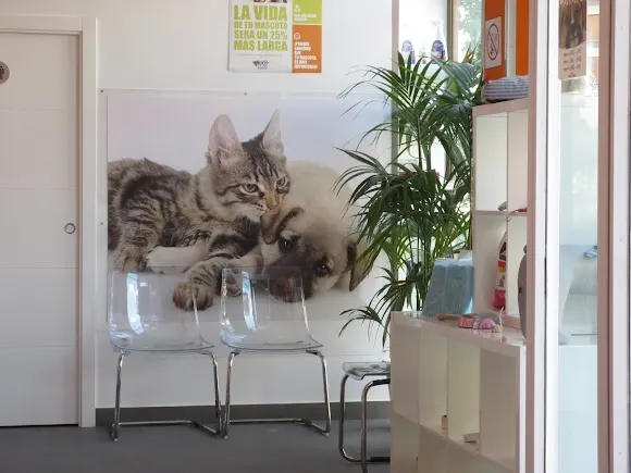 Clínica veterinaria Nexo Rivas - Rivas-Vaciamadrid