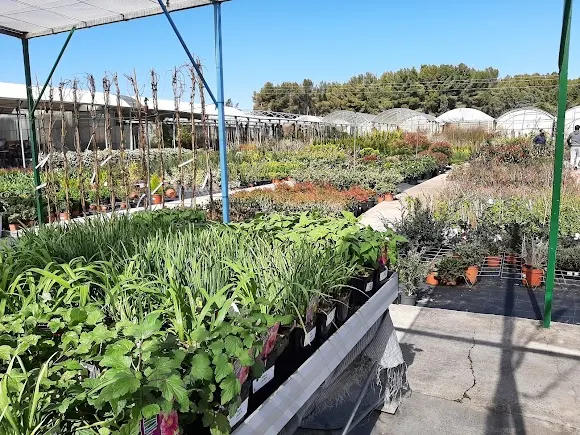 Viveros Ángel - Vivero en Rivas-Vaciamadrid