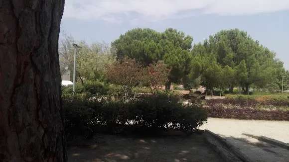 Parque Local - Coslada