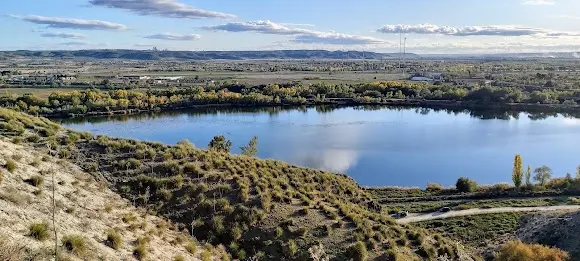 Parque canino