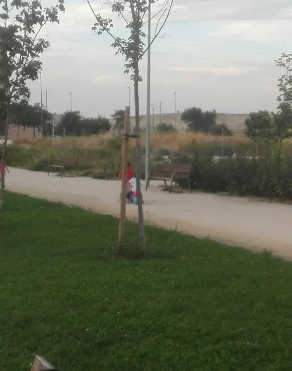 Parque Local - Rivas-Vaciamadrid