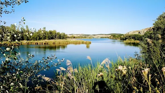 Humedales de la laguna El Campillo - Rivas-Vaciamadrid